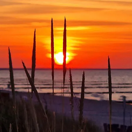 Koelp - Wald Und Mee H R