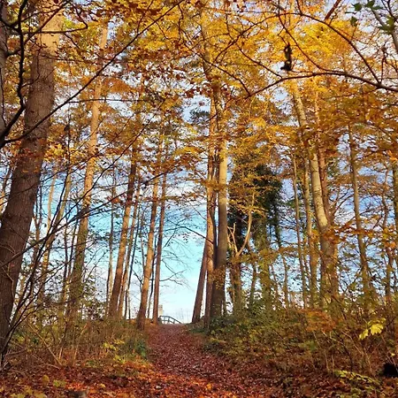 Koelp - Wald Und Mee H R Kolpinsee